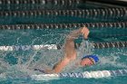 Swimming vs Babson  Wheaton College Swimming vs Babson College. - Photo By: KEITH NORDSTROM : Wheaton, Swimming, Babson